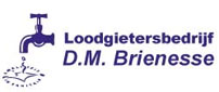 Loodgietersbedrijf D.M. Brienesse